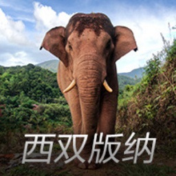 淘宝买菜回应“孕期员工纠纷”：并未解除合同，正常发放在岗工资